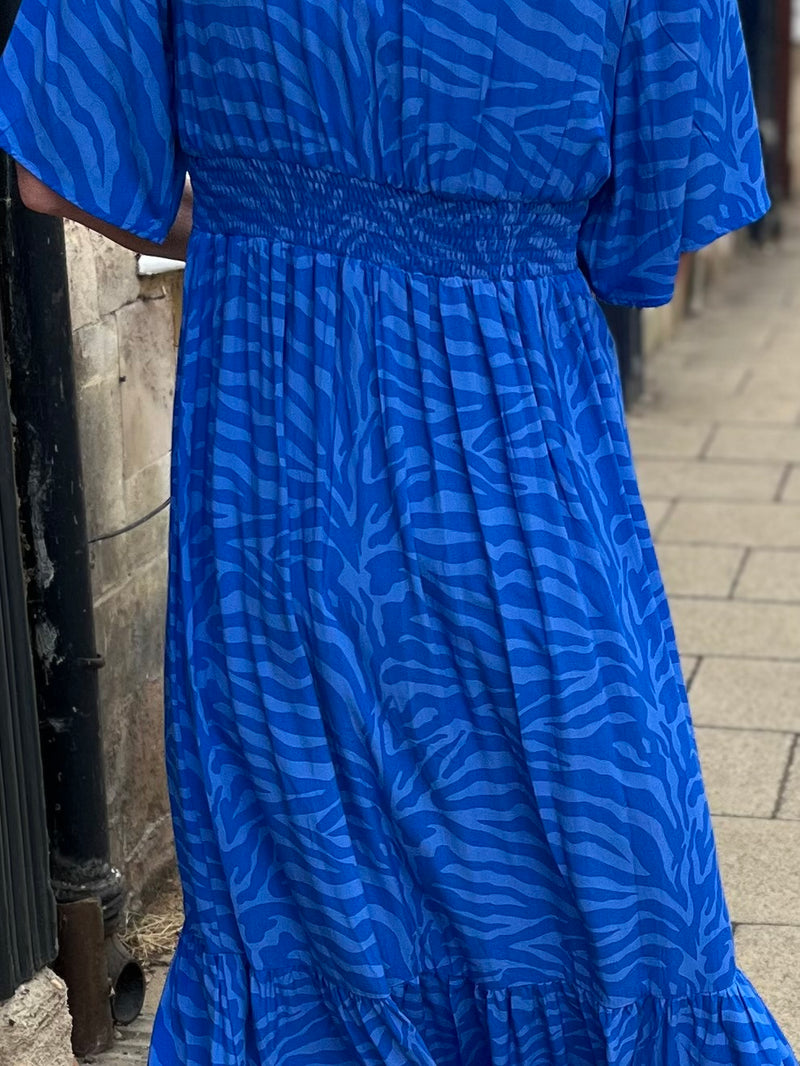 Willa - Swedish Blue Zebra