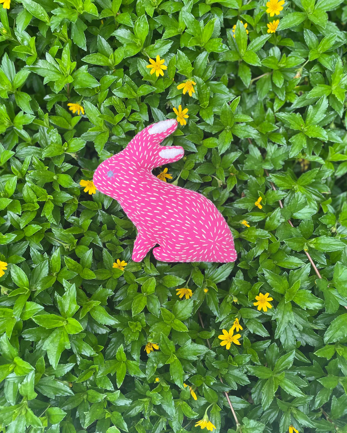 Bali Life -  Baby Bunny