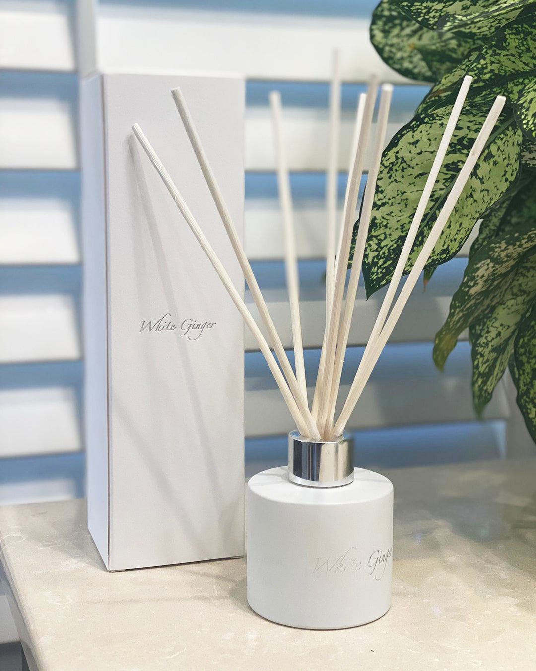 White Ginger Samarinda Diffuser